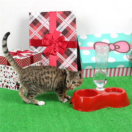 Dual Port Pet Bowl