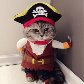 Funny Pirate Cat Halloween Costume