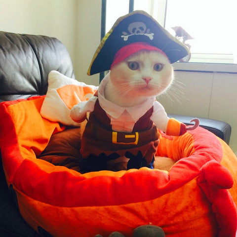 Funny Pirate Cat Halloween Costume