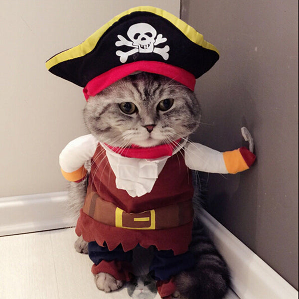 Funny Pirate Cat Halloween Costume