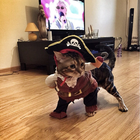 Funny Pirate Cat Halloween Costume