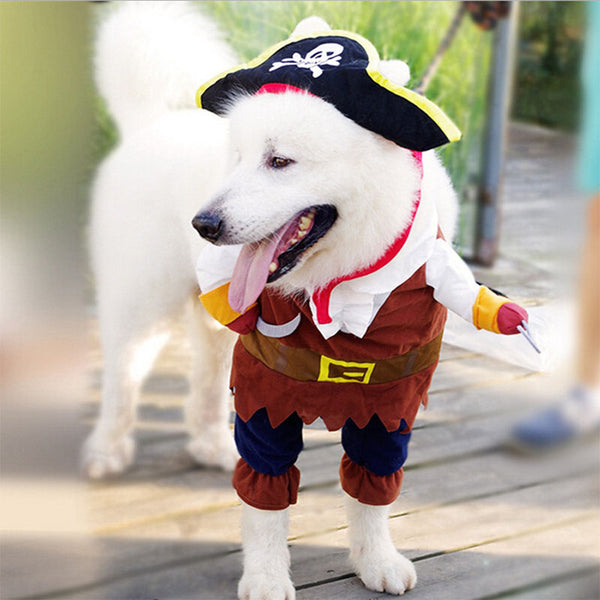 Funny Pirate Cat Halloween Costume