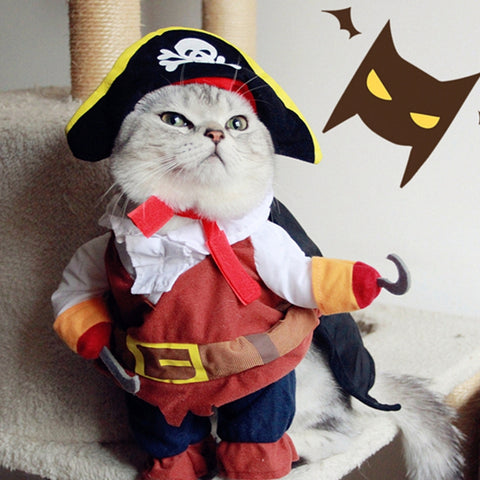 Funny Pirate Cat Halloween Costume