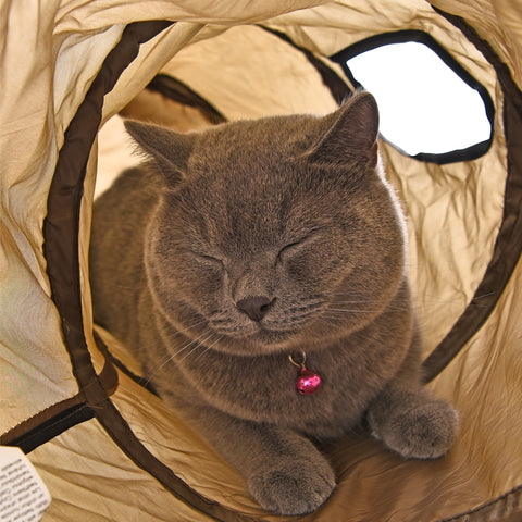 Funny Foldable Cat Play Tunnel